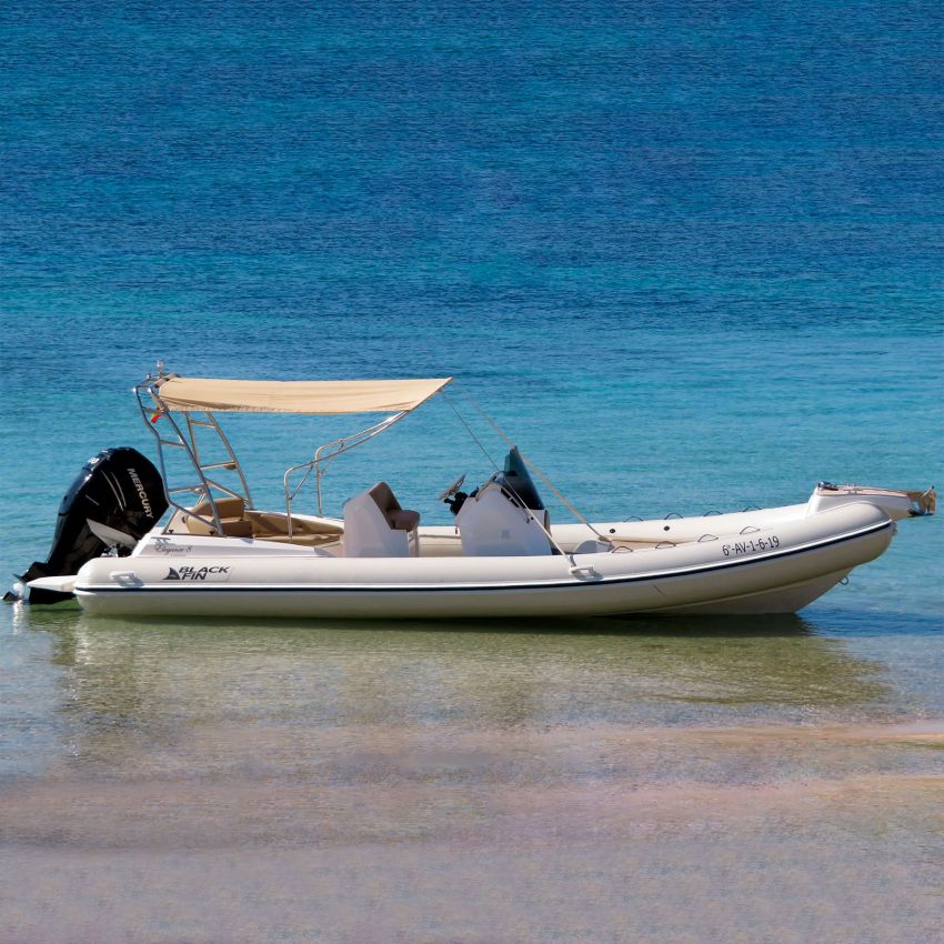 Rent Black fin - Elegance 8 boat in Ibiza