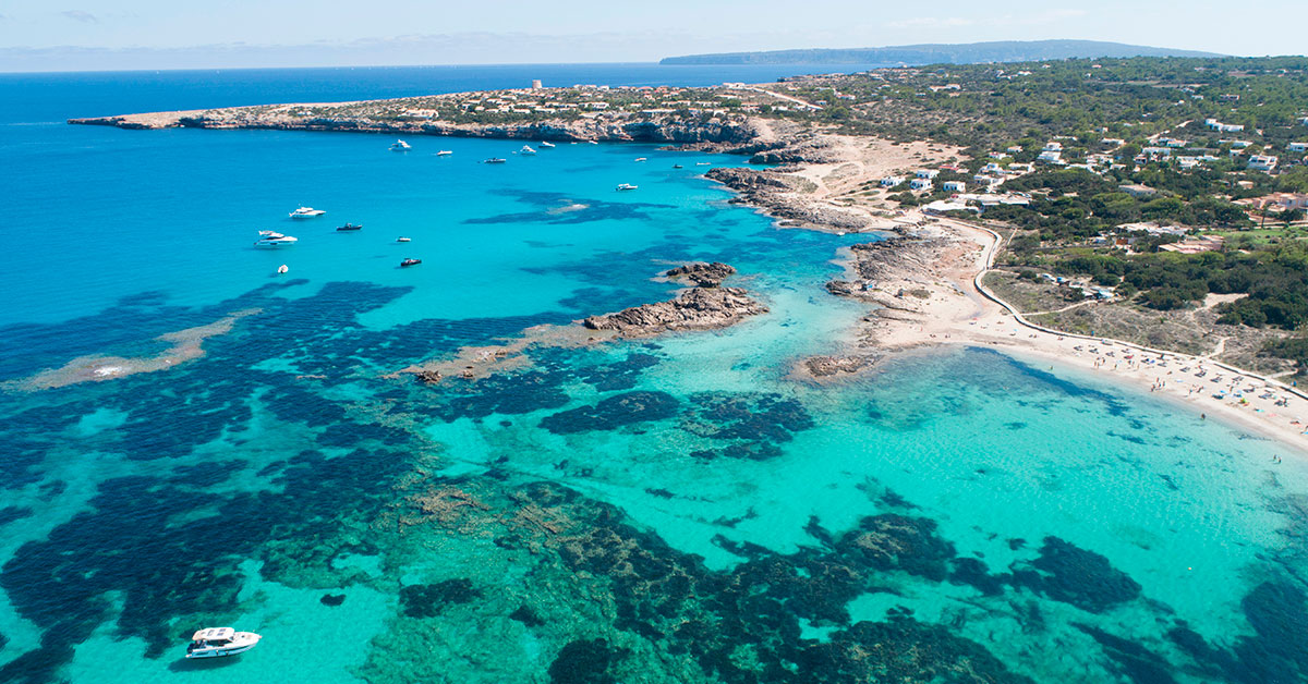 Check out our boat excursions for 2022 Blog